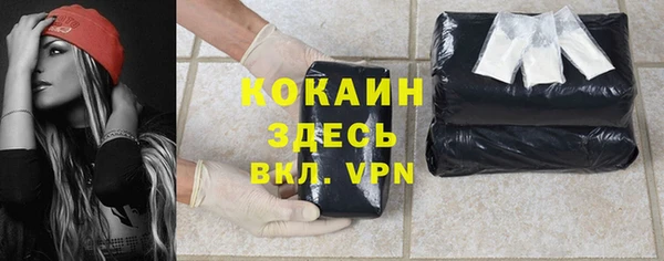 прущая мука Арсеньев