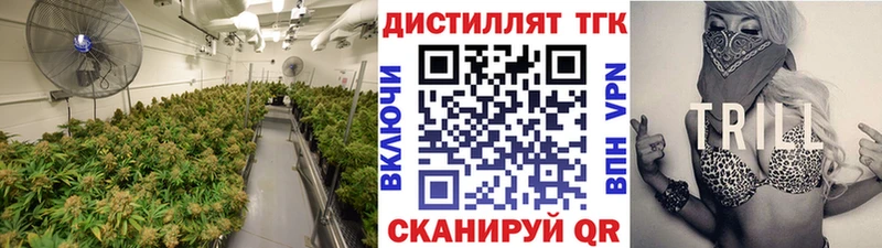 где продают наркотики  Ельня  Дистиллят ТГК гашишное масло 