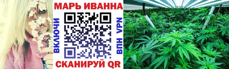 сколько стоит Ельня Каннабис Amnesia